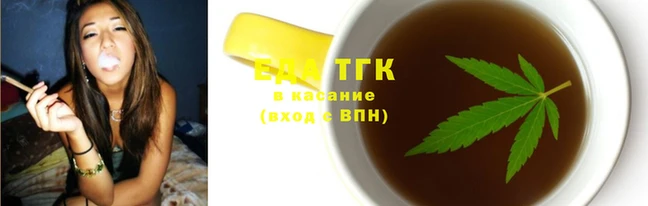 гашик Арсеньев
