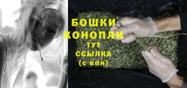 гашик Арсеньев