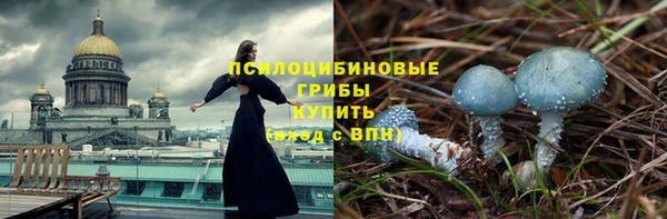 гашик Арсеньев