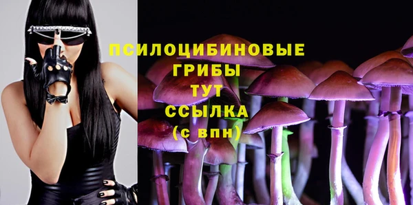 кокс Аркадак
