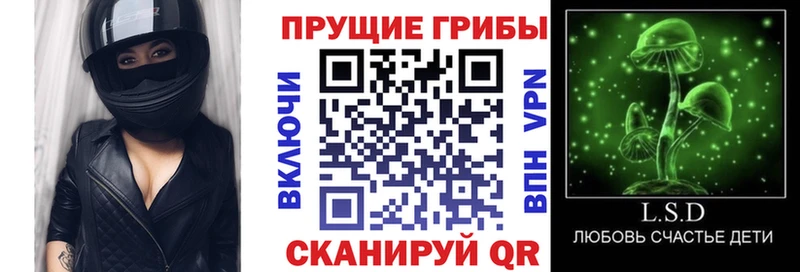 как найти закладки нарко площадка какой сайт Галлюциногенные грибы Cubensis Малая Вишера